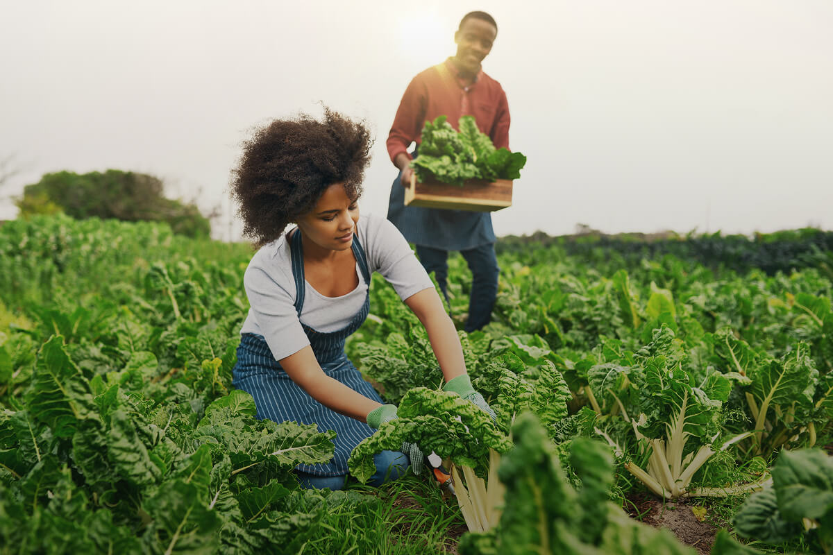 shot-of-an-attractive-young-female-farmer-working-4JFH4MS.jpg